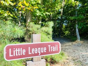 Trail